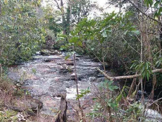 Sítio e chácara venda em Região Geográfica Imediata de Flores de Goiás, São João d'Aliança