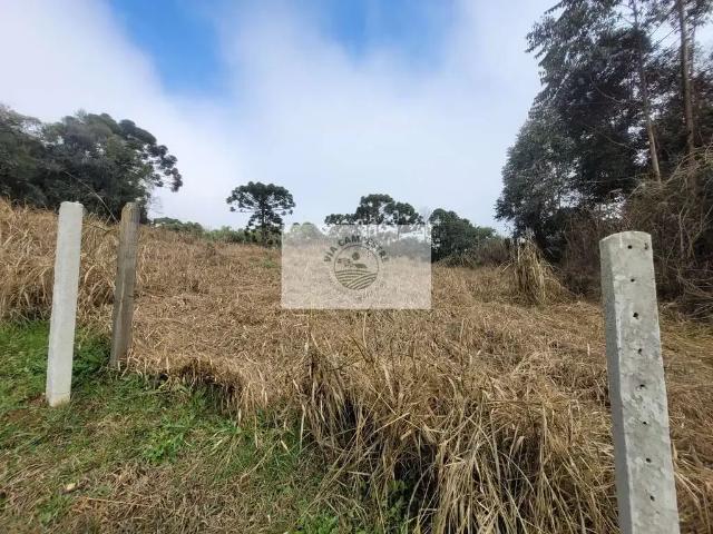 Sítio e chácara venda em Região Geográfica Imediata de São Bento do Sul-Rio Negrinho, São Bento do Sul