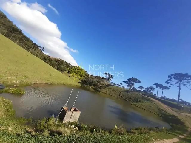 Sítio e chácara venda em Região Geográfica Imediata de São Bento do Sul-Rio Negrinho, São Bento do Sul