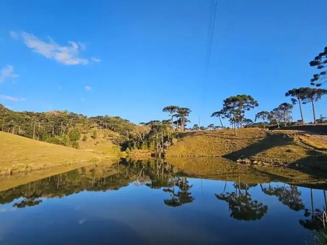 Sítio e chácara venda em Região Geográfica Imediata de São Bento do Sul-Rio Negrinho, São Bento do Sul