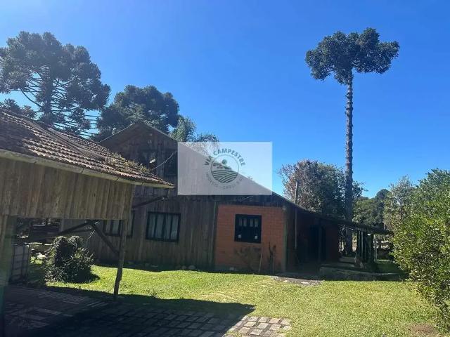 Sítio e chácara venda em Região Geográfica Imediata de São Bento do Sul-Rio Negrinho, São Bento do Sul