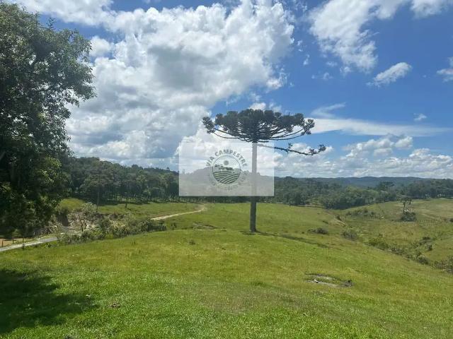 Sítio e chácara venda em São Bento do Sul, Região Geográfica Intermediária de Joinville