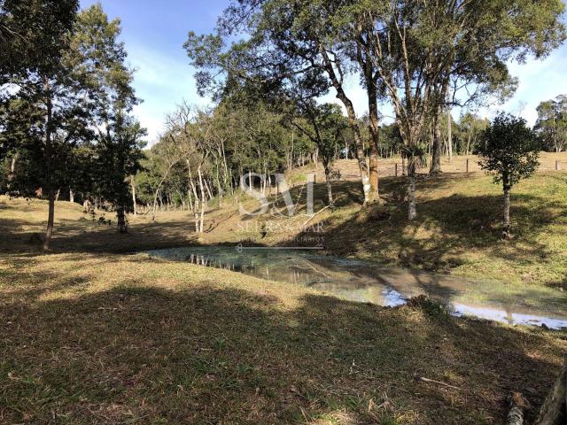Sítio e chácara venda em São Bento do Sul, Região Geográfica Intermediária de Joinville