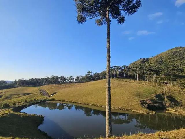 Sítio e chácara venda em Região Geográfica Imediata de São Bento do Sul-Rio Negrinho, São Bento do Sul