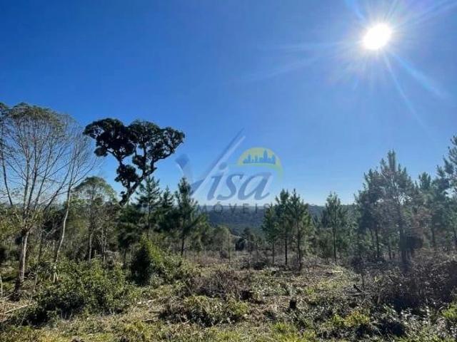 Sítio e chácara venda em Serra Alta, São Bento do Sul