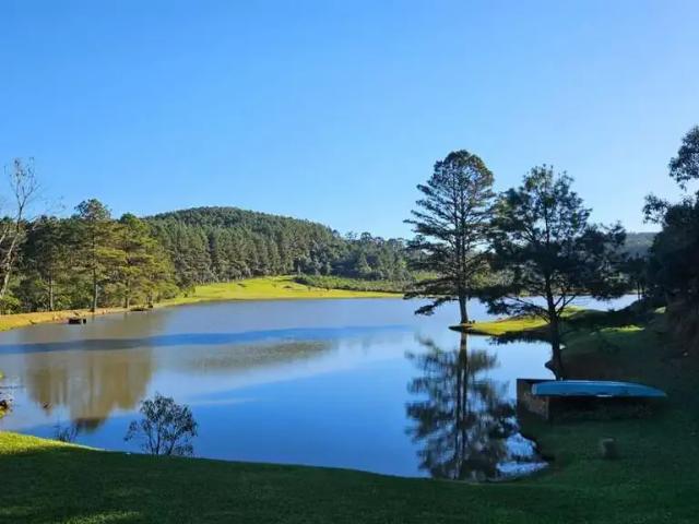 Sítio e chácara venda em Região Geográfica Imediata de São Bento do Sul-Rio Negrinho, São Bento do Sul