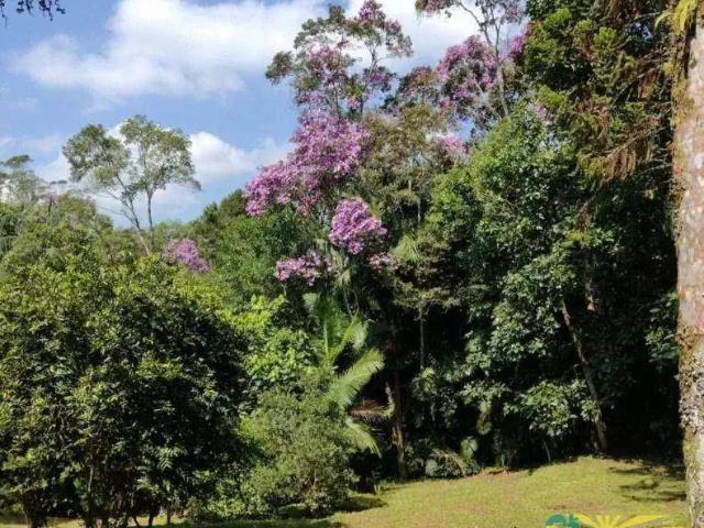 Sítio e chácara venda em Região Imediata de São Paulo, Região Metropolitana de São Paulo