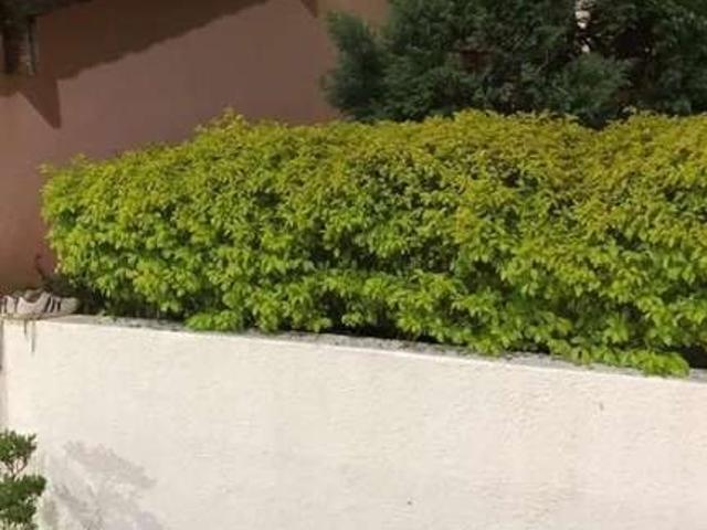 Sítio e chácara venda em Região Imediata de São Paulo, Região Metropolitana de São Paulo