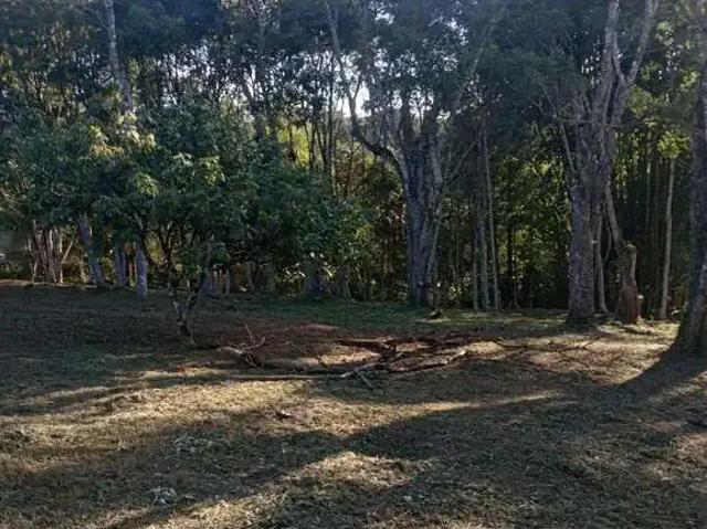 Sítio e chácara venda em Região Imediata de São Paulo, Região Metropolitana de São Paulo