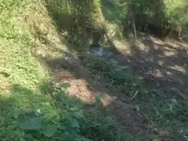 Sítio e chácara venda em Região Imediata de São Paulo, Região Metropolitana de São Paulo