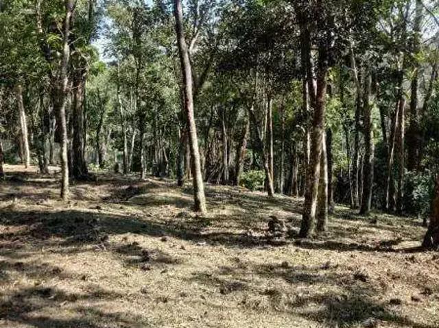 Sítio e chácara venda em Região Imediata de São Paulo, Região Metropolitana de São Paulo