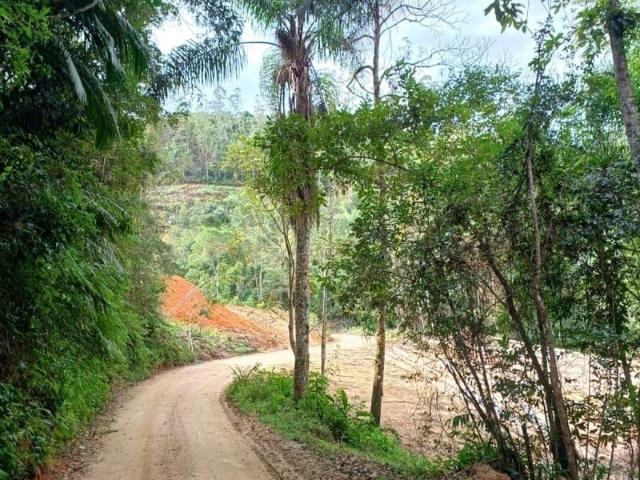 Sítio e chácara venda em Região Geográfica Imediata de Florianópolis, São Bonifacio