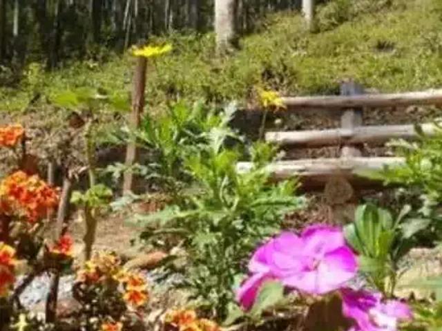 Sítio e chácara venda em Região Geográfica Imediata de Florianópolis, São Bonifacio