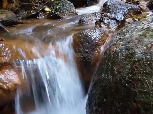 Sítio e chácara venda em Região Geográfica Imediata de Florianópolis, São Bonifacio