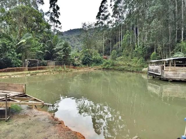 Sítio e chácara venda em Região Geográfica Imediata de Florianópolis, São Bonifacio