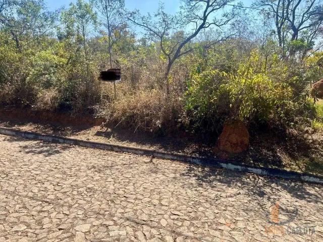 Sítio e chácara venda em São Brás do Suaçuí, Região Geográfica Intermediária de Juiz de Fora