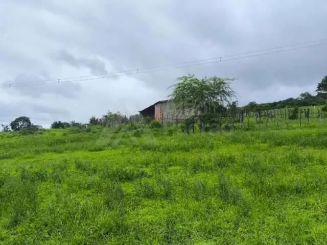 Sítio e chácara venda em Região Geográfica Imediata de Caruaru, São Caitano