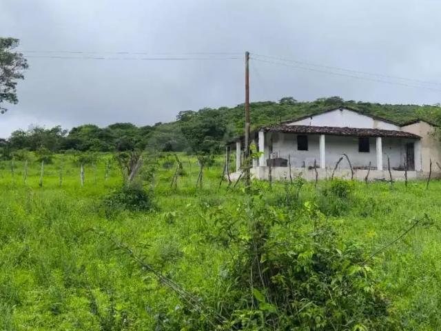Sítio e chácara venda em Região Geográfica Imediata de Caruaru, São Caitano