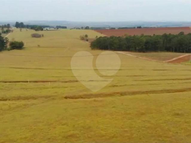 Sítio e chácara venda em São Carlos