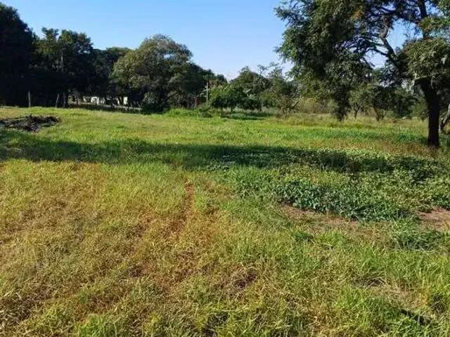 Sítio e chácara venda em Região Imediata de São Carlos, São Carlos