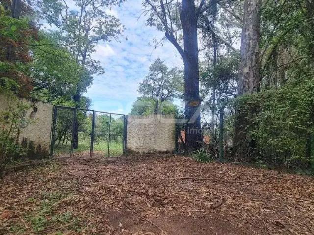 Sítio e chácara venda em Região Imediata de São Carlos, São Carlos