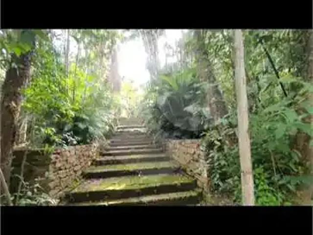 Sítio e chácara venda em Parque dos Pássaros, São Carlos