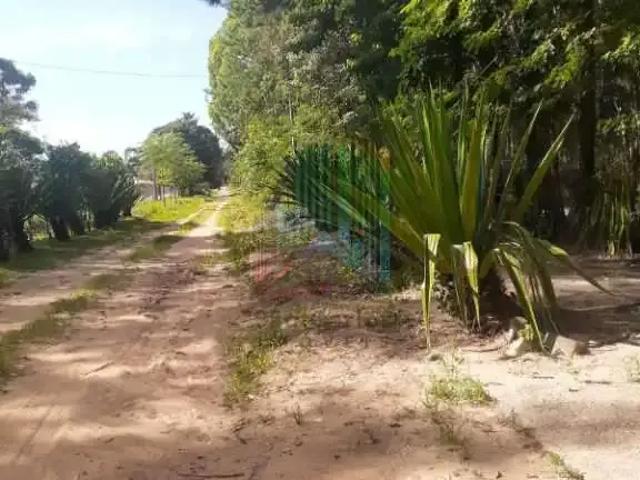 Sítio e chácara venda em Região Imediata de São Carlos, São Carlos