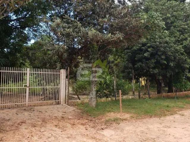 Sítio e chácara venda em Região Imediata de São Carlos, São Carlos