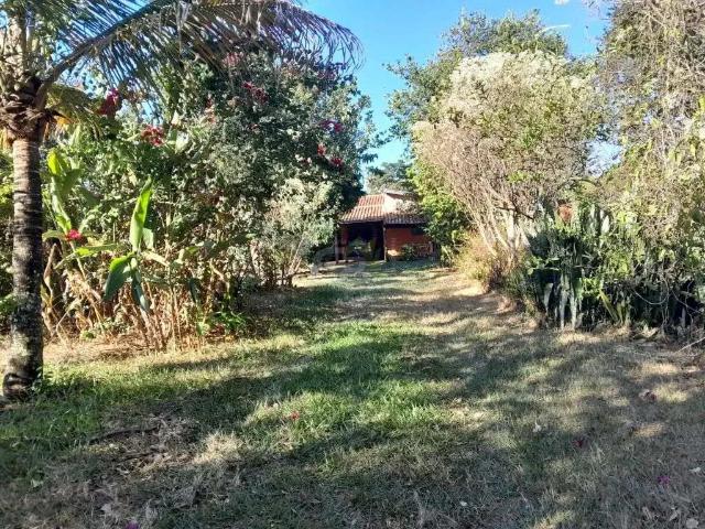 Sítio e chácara venda em São Carlos, Região Geográfica Intermediária de Araraquara