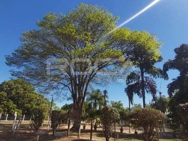 Sítio e chácara venda em Região Imediata de São Carlos, São Carlos
