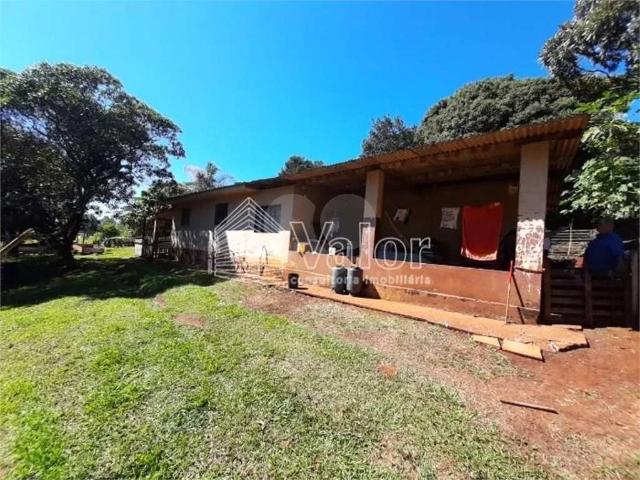 Sítio e chácara venda em Américo Brasiliense
