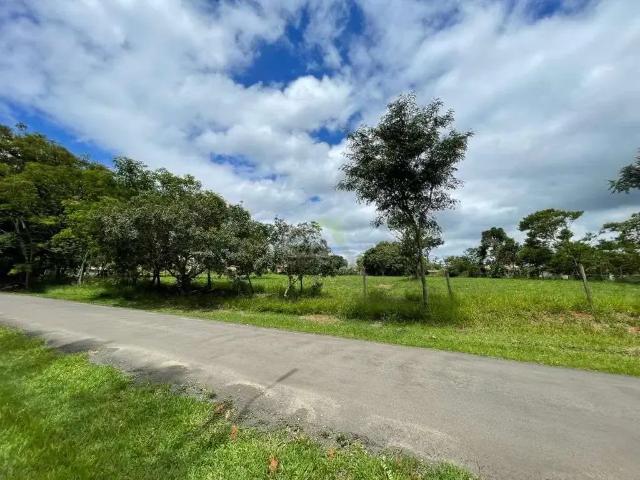 Sítio e chácara venda em Região Imediata de São Carlos, São Carlos