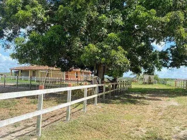 Sítio e chácara venda em São Cristóvão