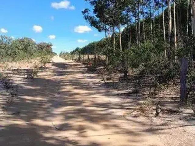 Sítio e chácara venda em Região Geográfica Imediata de Barreiras, São Desidério