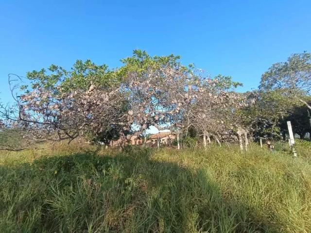 Sítio e chácara venda em Região Geográfica Imediata de Itabaiana, Região Nordeste