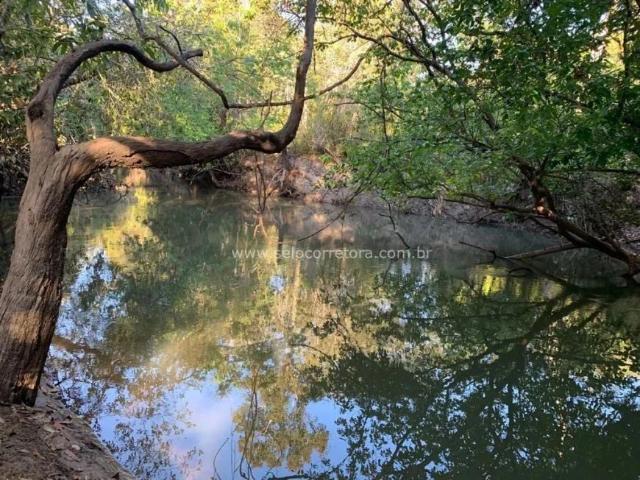 Sítio e chácara venda em São Félix do Araguaia, Região Geográfica Intermediária de Barra do Garças