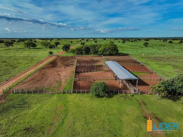 Sítio e chácara venda em Região Geográfica Imediata de Confresa - Vila Rica, São Felix do Araguaia