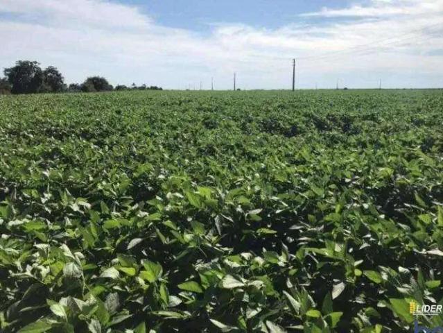 Sítio e chácara venda em Região Geográfica Imediata de Confresa - Vila Rica, São Felix do Araguaia