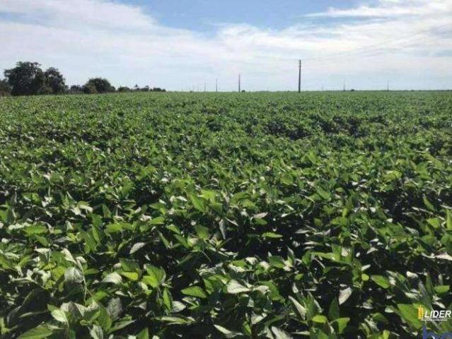 Sítio e chácara venda em São Félix do Araguaia, Região Geográfica Intermediária de Barra do Garças