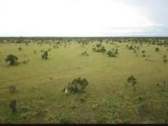 Sítio e chácara venda em São Félix do Araguaia, Região Geográfica Intermediária de Barra do Garças