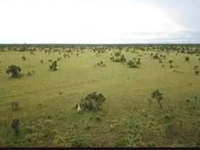 Sítio e chácara venda em Região Geográfica Imediata de Confresa - Vila Rica, São Felix do Araguaia