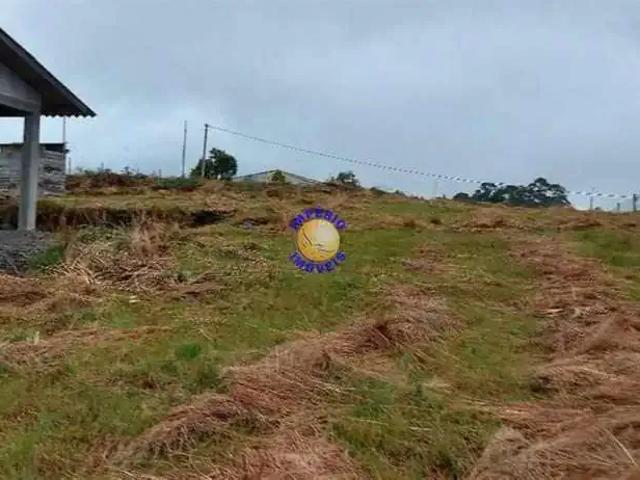 Sítio e chácara venda em Região Geográfica Imediata de Caxias do Sul, São Francisco de Paula