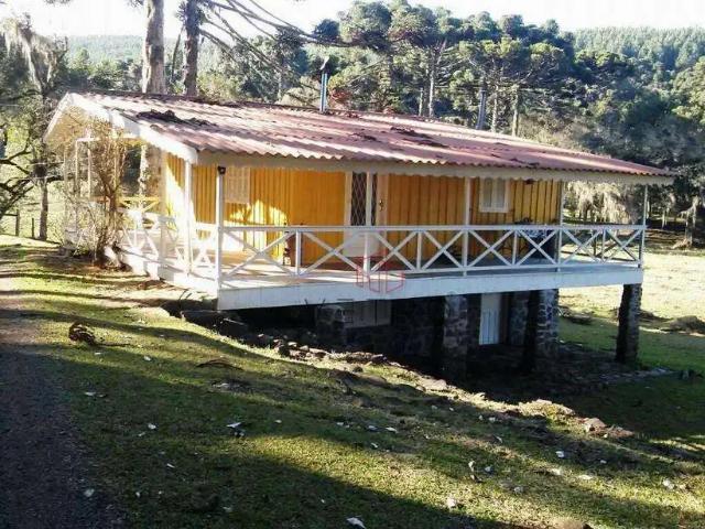 Sítio e chácara venda em Região Geográfica Imediata de Caxias do Sul, São Francisco de Paula