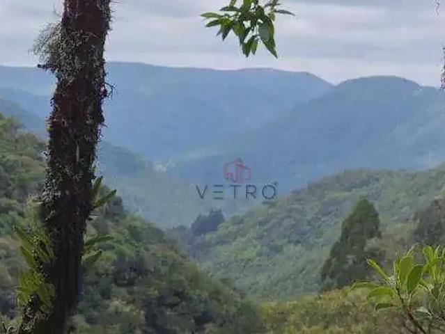 Sítio e chácara venda em Região Geográfica Imediata de Caxias do Sul, São Francisco de Paula