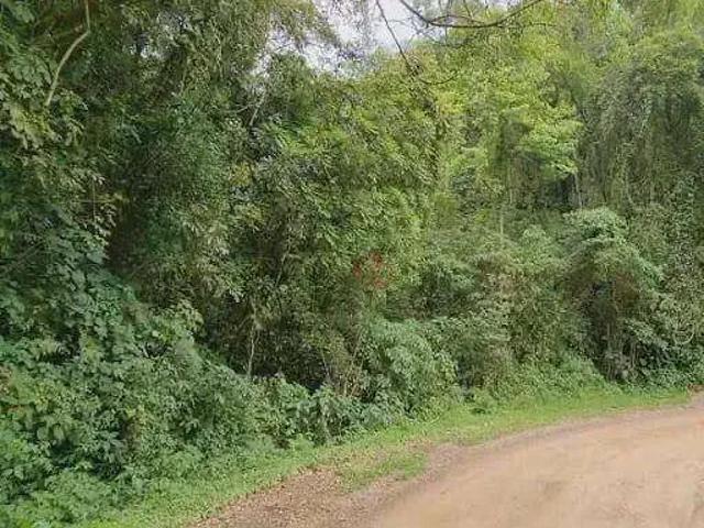 Sítio e chácara venda em Região Geográfica Imediata de Caxias do Sul, São Francisco de Paula