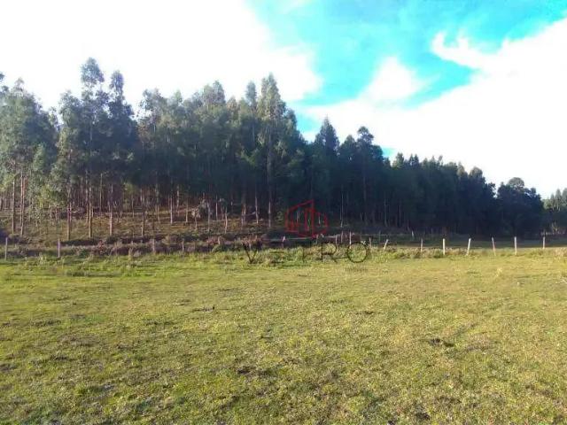 Sítio e chácara venda em Região Geográfica Imediata de Caxias do Sul, São Francisco de Paula