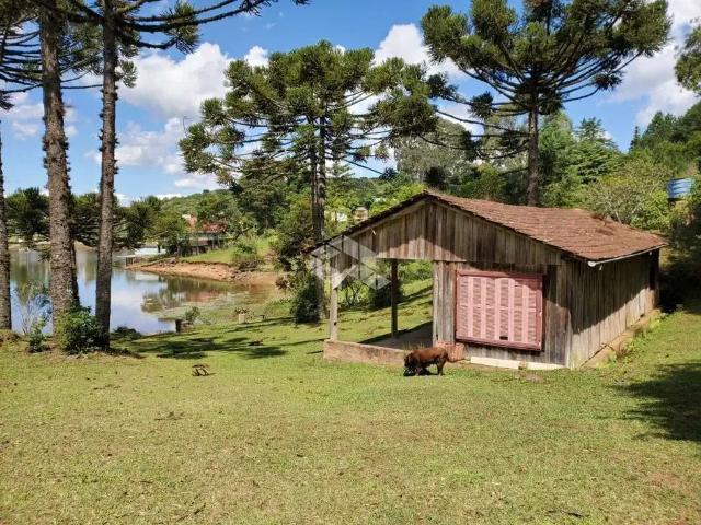 Sítio e chácara venda em Região Geográfica Imediata de Caxias do Sul, São Francisco de Paula
