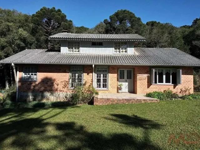 Sítio e chácara venda em Região Geográfica Imediata de Caxias do Sul, São Francisco de Paula