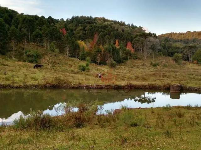 Sítio e chácara venda em Região Geográfica Imediata de Caxias do Sul, São Francisco de Paula