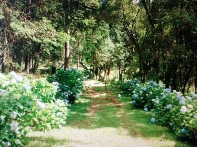 Sítio e chácara venda em Região Geográfica Imediata de Caxias do Sul, São Francisco de Paula